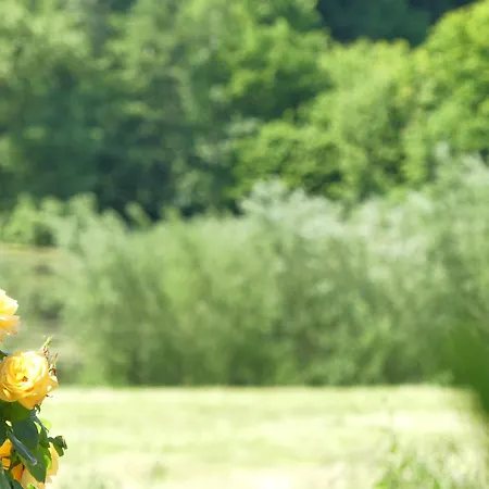 Cattle Barn - Leben Auf Dem Hof