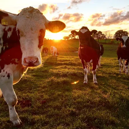 Cattle Barn - Leben Auf Dem Hof Apartman *