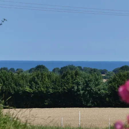 Cattle Barn - Leben Auf Dem Hof * Trondel